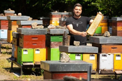Bienenstöcke