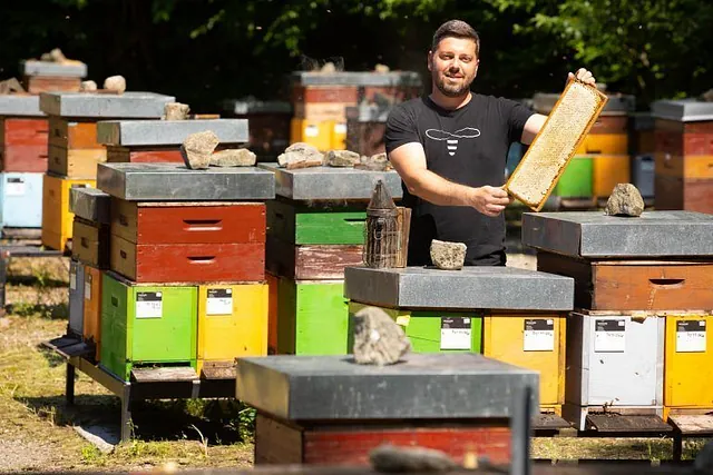 Bienenstöcke